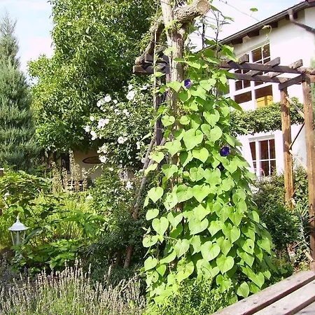 Апартаменты Ferienhaus-weitblick Wohlau