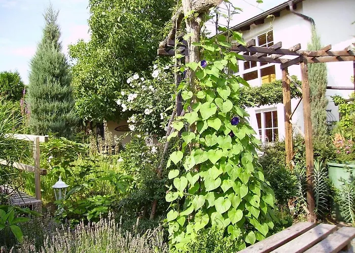 Apartment Ferienhaus-weitblick Wohlau
